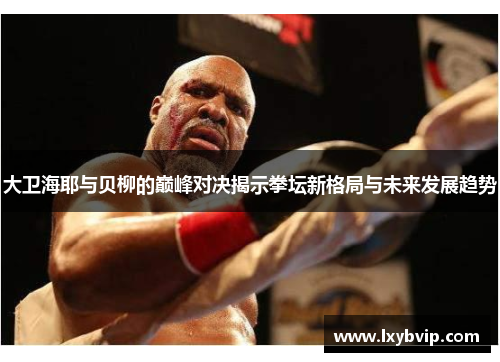 大卫海耶与贝柳的巅峰对决揭示拳坛新格局与未来发展趋势