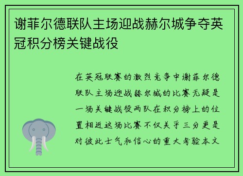 谢菲尔德联队主场迎战赫尔城争夺英冠积分榜关键战役